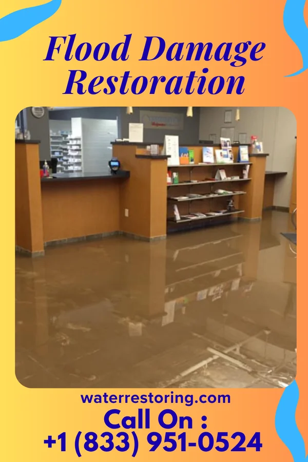 Flood Damage Restoration in Bemiss, GA