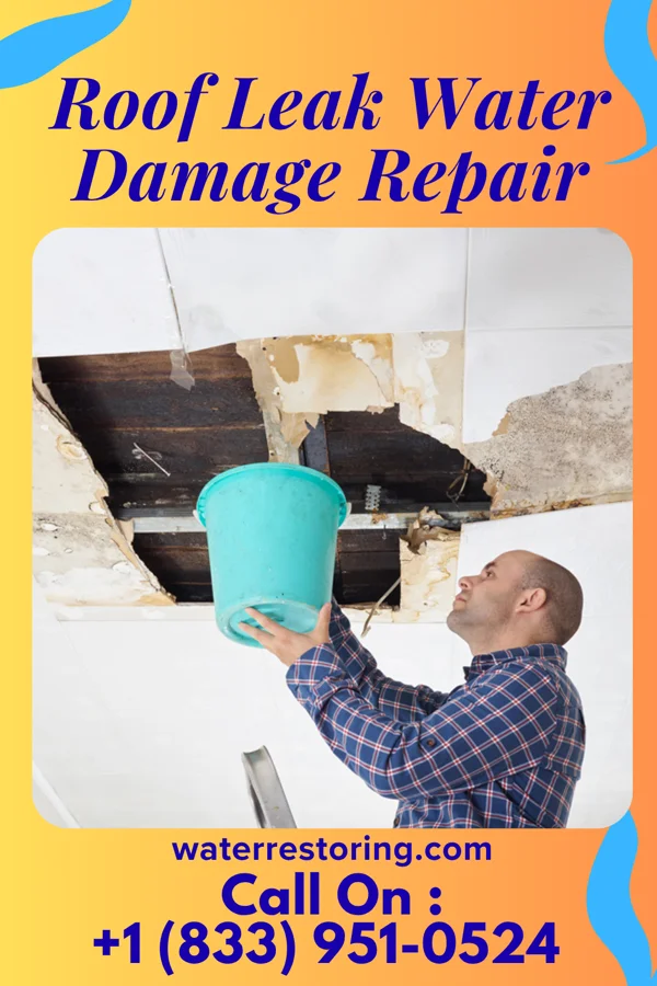 Roof Leak Water Damage Repair in Bemiss, GA